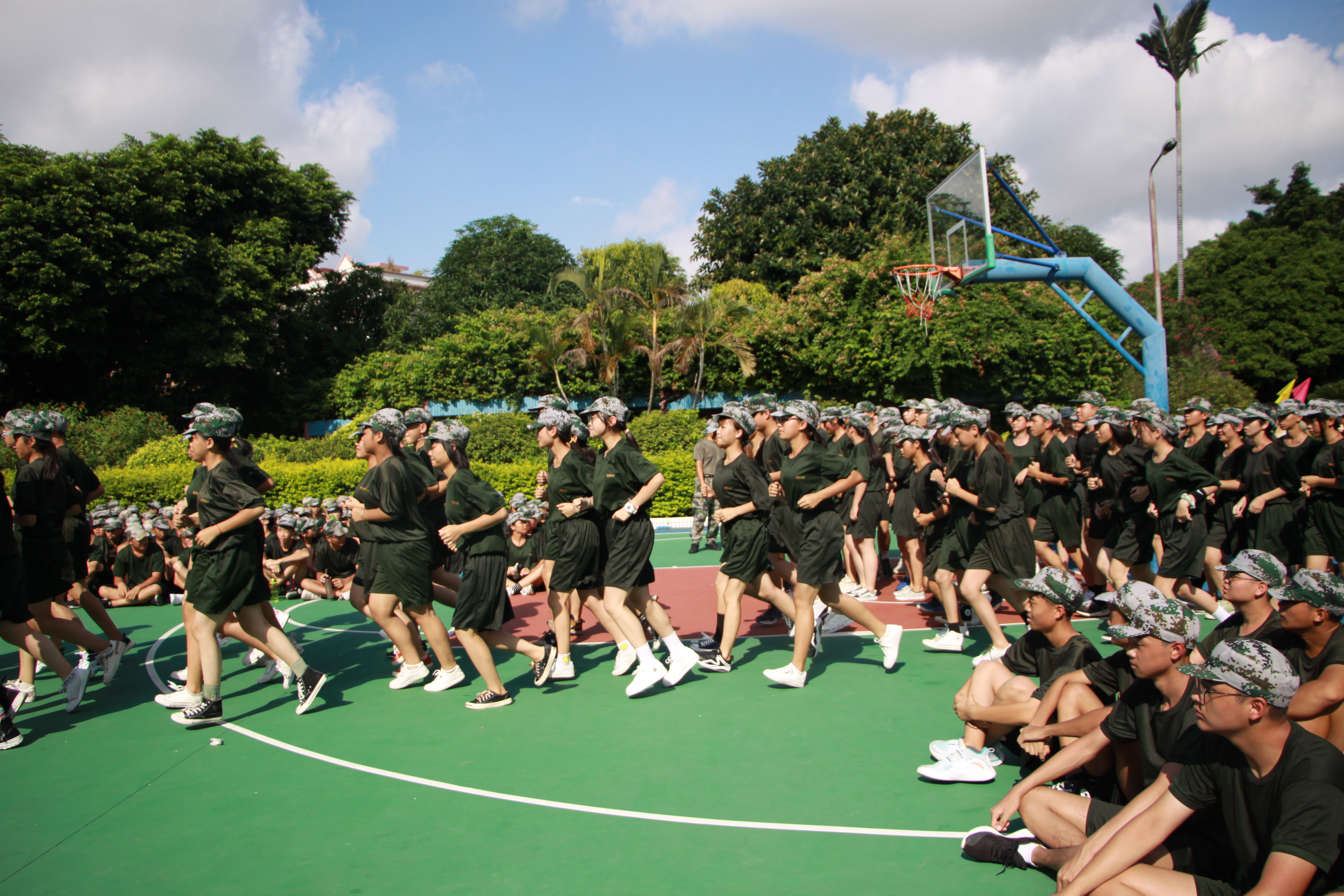 IMG_7387.JPG IMG_7387.JPG