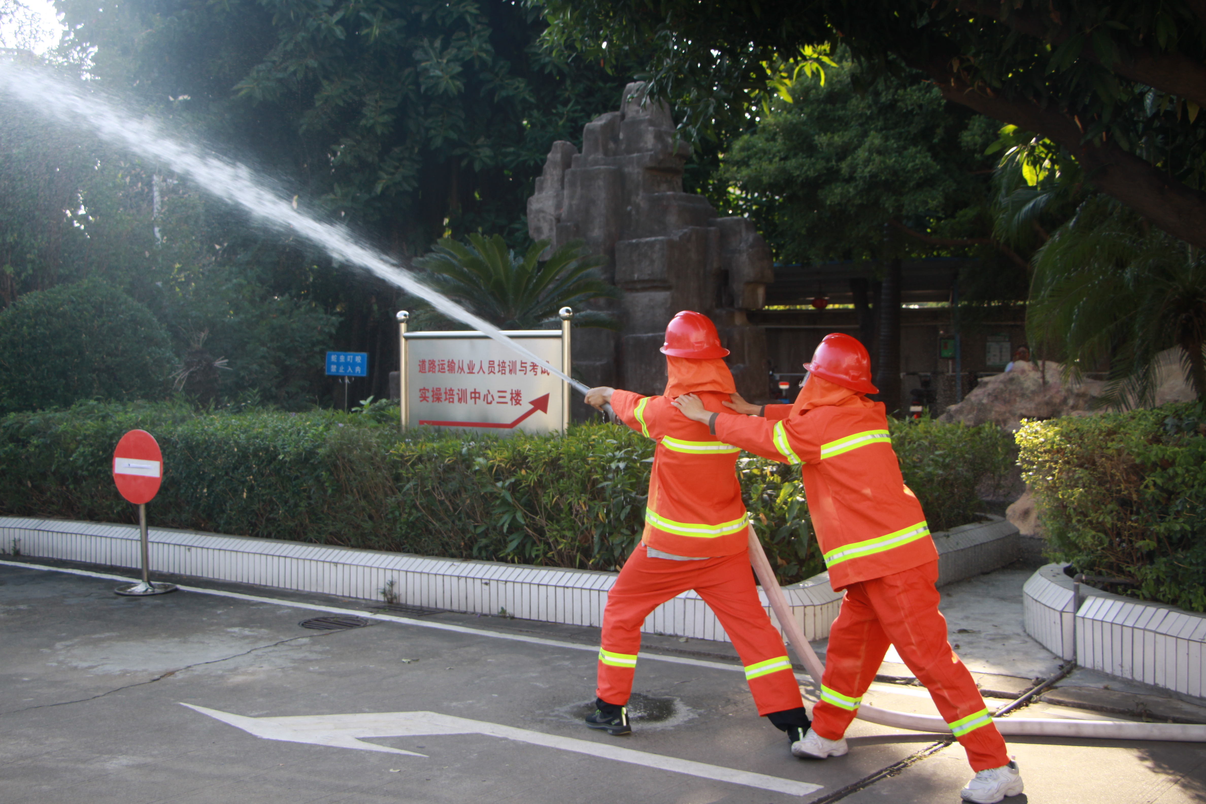 IMG_7934.JPG IMG_7934.JPG