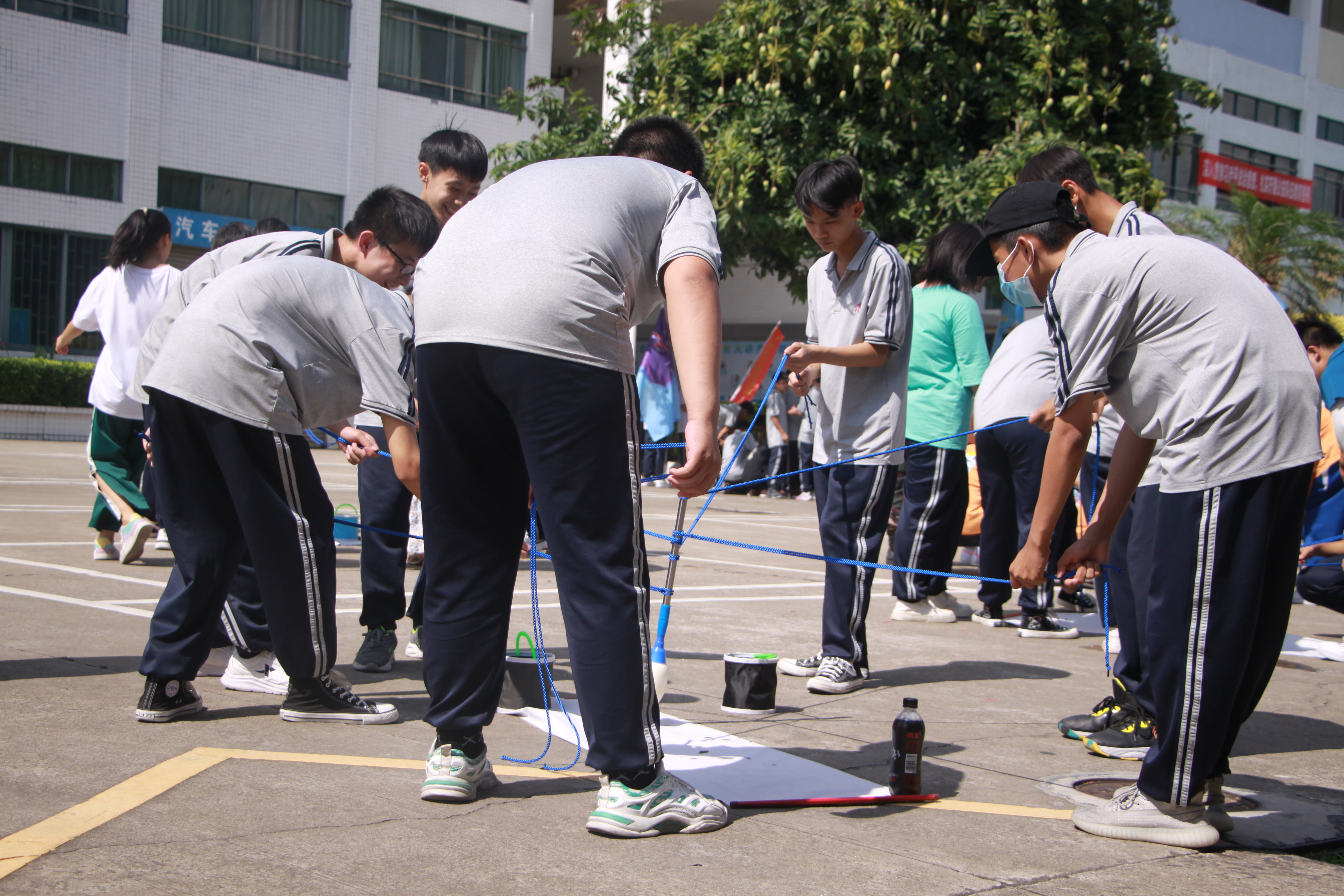 IMG_9786.JPG IMG_9786.JPG